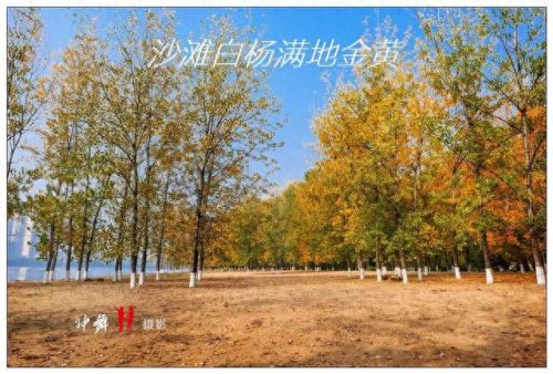 随州地区景点排名前十(随州烧烤十大排名)插图28