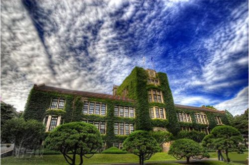韩国前十大学美食排行榜(韩国美食大学食堂)插图10