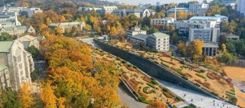 韩国前十大学美食排行榜(韩国美食大学食堂)插图18