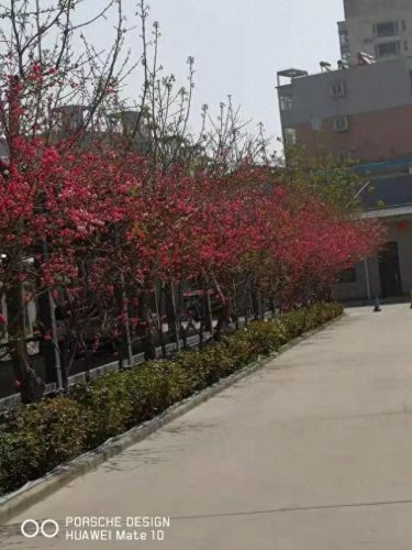 汾阳订婚酒店排名前十(汾阳八大碗哪家酒店正宗)插图3
