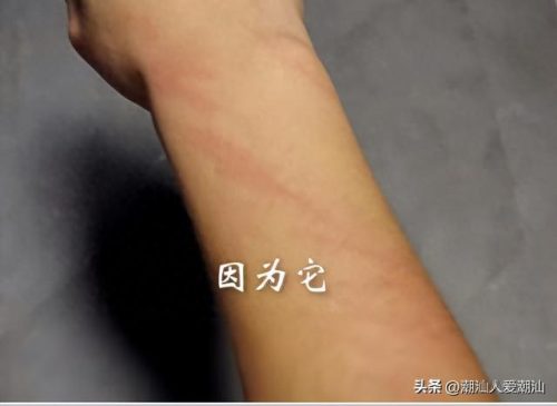潮汕十大菜馆排行榜第一(潮汕特色餐厅十强排名)插图17