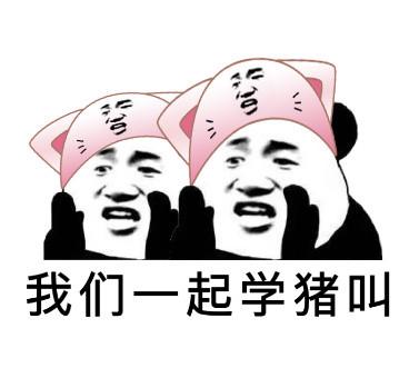 孔雀饲料公司排名前十(日清孔雀饲料)插图
