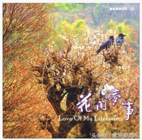 全网十大古风纯音乐排行榜(中国古风纯音乐排行)插图