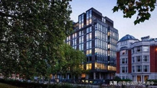 美容学校十大排行榜高中(十大最坑宠物美容学校)插图1