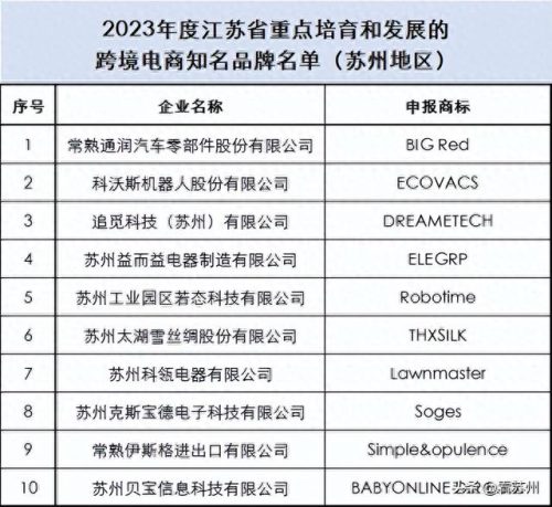 跨境欧洲公司排名前十(十大跨境电商排名)插图