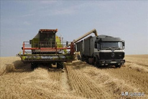 各国粮食产值排名前十(全球粮食产量排名去哪查)插图2