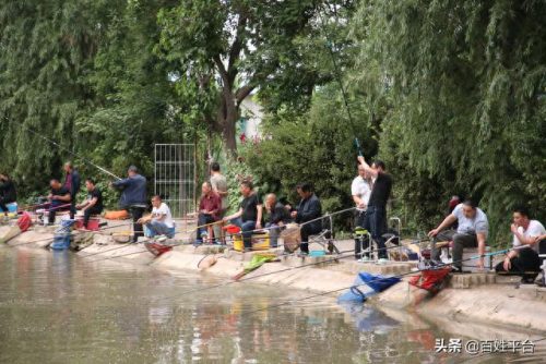 运城钓鱼地点排名前十(运城钓鱼最佳地点)插图