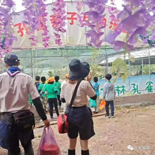 福清山庄排名前十酒店(福清望春园酒店)插图12