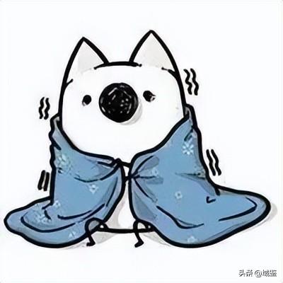高档烤火炉排名前十(贵州烤豆干的火炉)插图