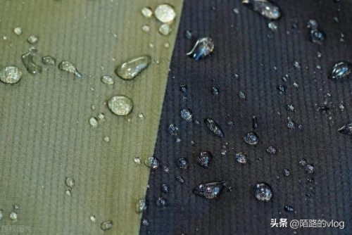 正规防水行业排名前十(蓝盾防水排名前十名)插图3