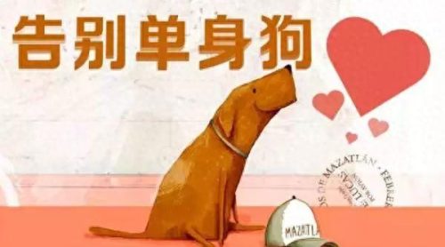 海南相亲公司排名前十(海南乐秀缘分天空相亲软件)插图10