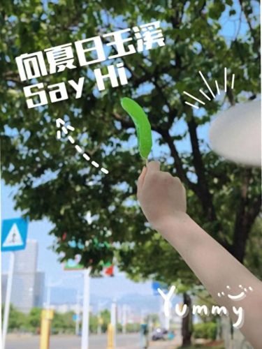 平价商用炼乳排名前十(炼乳与奶粉哪个好)插图