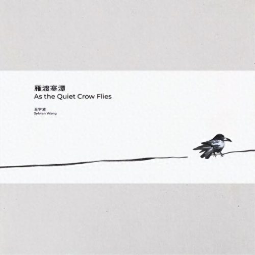 近期发行专辑排名前十(销量最高专辑排名)插图4