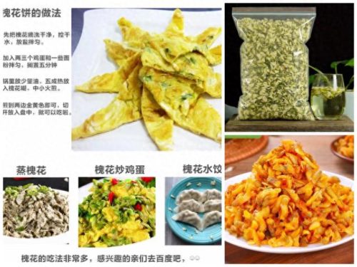 临泉县十大名吃排行榜(临泉好吃的饭店排行)插图8