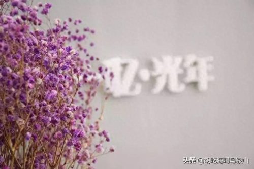 马鞍山十大花店排行榜最新(全国十大花店加盟)插图21