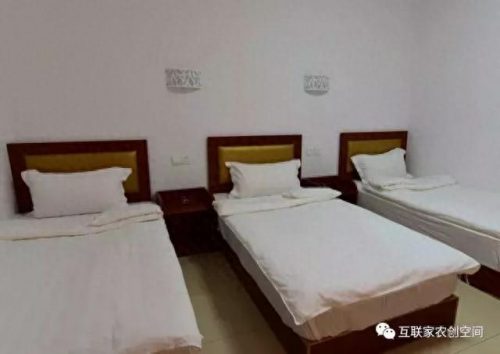 绩溪婚庆酒店排名前十(绩溪酒店排行榜)插图13