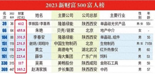 陕西企业排名前十老总(陕西民营企业100强)插图10