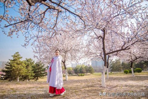 西安小吃景区排名前十(西安小吃甄糕)插图70