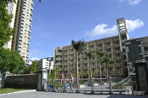 深圳养蚕企业排名前十(浙江养蚕基地)插图7