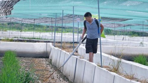 湘潭河口美食排名前十(湘潭有什么好吃的地方推荐)插图8