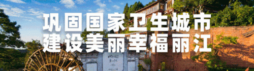 丽江附近驾校排名前十(丽江驾校)插图1