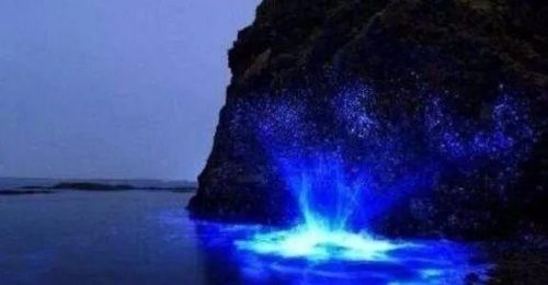 全球沙滩夜景排名前十(中国十大夜景城市)插图1