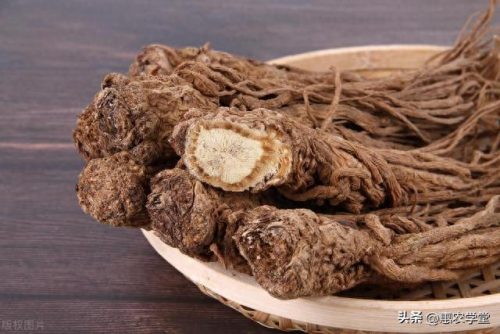 甘肃当归销量排名前十(甘肃当归粉)插图1