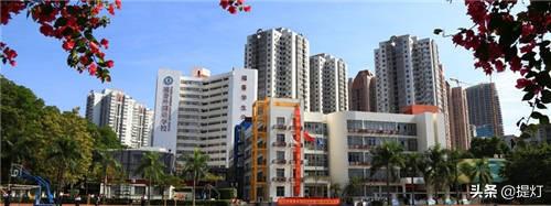 深圳养蚕企业排名前十(浙江养蚕基地)插图5