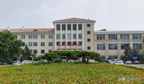 山东国营酒店排名前十(山东莱芜最好的酒店)插图3
