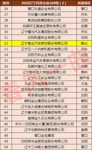 鞍山优质企业排名前十(鞍山市企业100强排名)插图3