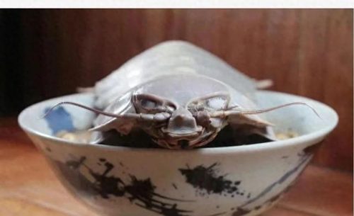 玉山美食海鲜排名前十(玉山小海鲜)插图9