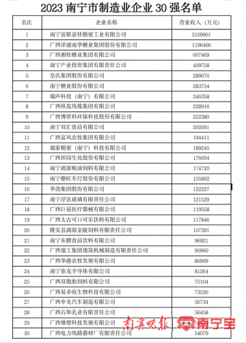 南宁排名前十的企业(南宁大企业)插图3