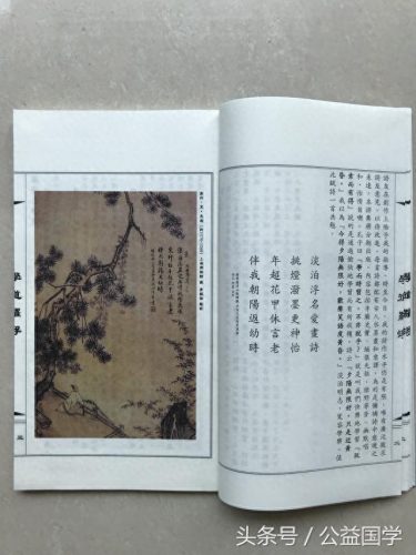罗浮山法师排名前十(罗浮山观音洞光净法师)插图6