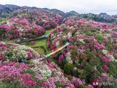 贵州最美风景排名前十(贵州十大魅力景区)插图9