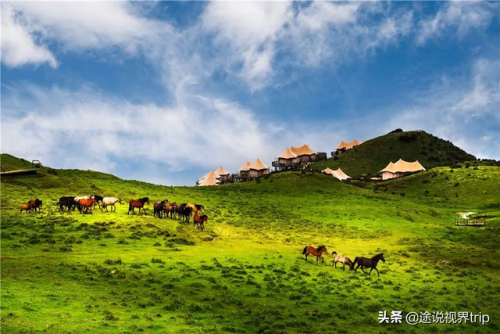 新疆各地草场排名前十(新疆草场政府每年都会给多少钱)插图2