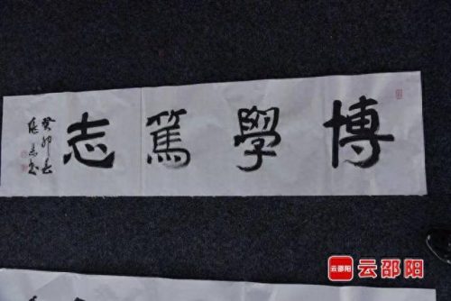湖南最强画家排名前十(湖南画家邱松岚)插图20