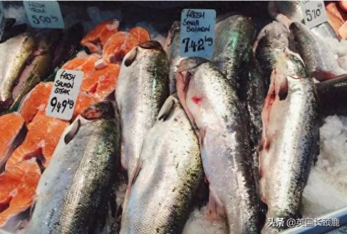 伦敦海鲜网店排名前十(英国海鲜市场排名)插图33