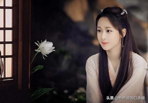 秦国最美明星排名前十(秦朝著名美女)插图7