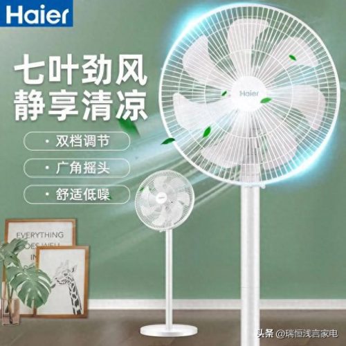 电扇排名前十的品牌(电吹风排名前十品牌)插图10