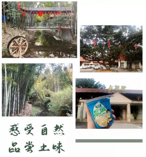 花都高端农庄排名前十(花都农家乐一日游)插图4