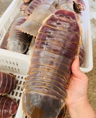 玉山美食海鲜排名前十(玉山小海鲜)插图2