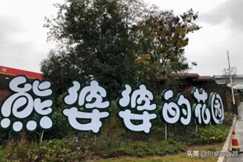 重庆金鱼品种排名前十(金鱼排行榜前十)插图5