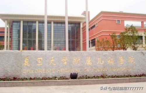 国内医疗团队排名前十(优秀的医疗团队简介)插图2