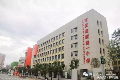 西安小学教科书排名前十(西安买学生用书在哪买)插图9