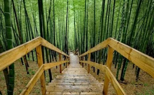 宁波郊游景区排名前十(宁波景区封闭通知)插图2