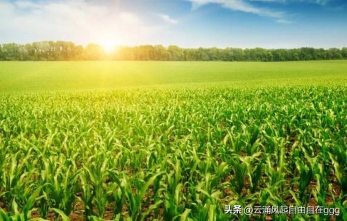 各国平均耕地排名前十(耕地分等定级标准)插图2