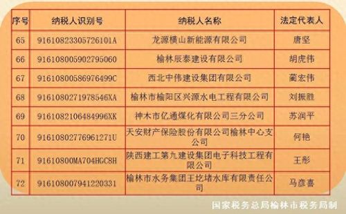 榆林企业税收排名前十(咸宁企业纳税排行)插图7