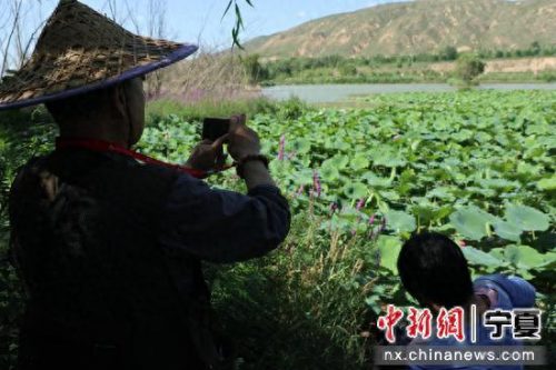 固原最美水库排名前十(固原水库景区)插图2