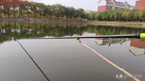 十款竞技钓竿排名前十图片(中国十大品牌8米1台钓竿)插图6