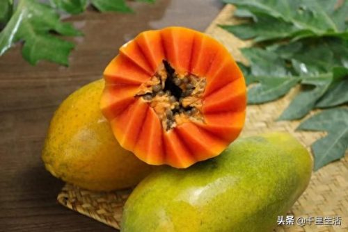 广东木瓜销量排名前十(木瓜酱菜销量最大)插图7
